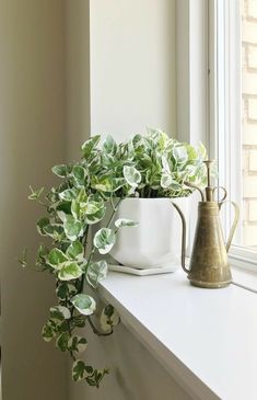 a potted plant sitting on top of a window sill next to a vase