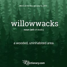 the words willowwacks are written in green and white on a background of pine trees