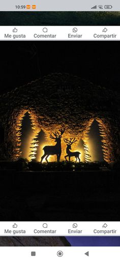 an image of a nativity scene with deer and man in front of it at night