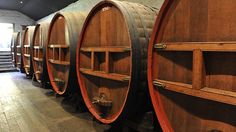 several wooden barrels lined up in a room