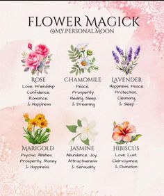 Flowers That Mean Healing, Flowers For Spells, Flowers For Protection Witchcraft, Witchy Flower Meanings, Flowers Witchcraft, Roses In Witchcraft, Flowers Used In Witchcraft, Peony Magical Properties, Garden Planning Layout