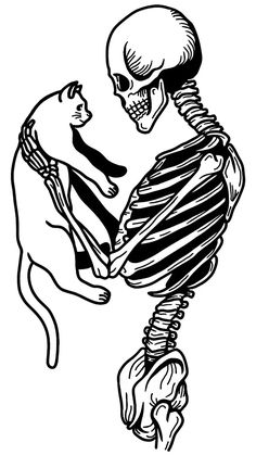 a skeleton holding a cat in its arms