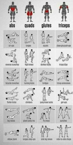 an exercise poster showing the different exercises to do with your bodybuilt muscles