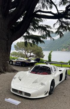 a white sports car parked in front of a tree next to a body of water