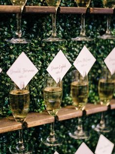 several wine glasses are lined up on a shelf