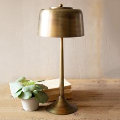 a small potted plant sitting on top of a wooden table next to a lamp