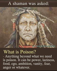 What Is Poison, Poison Quotes, Car Alignment, Sunshine Quotes, Native American Quotes, Logan Utah, Spoonie Life, Shamanic Healing, African Queen