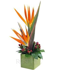 an orange and green flower arrangement in a square vase on a white background with the words rose hill flowers