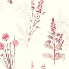 an image of some flowers on a white background