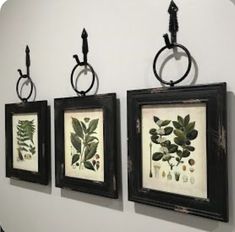 three framed pictures hanging on the wall next to each other with metal rings around them