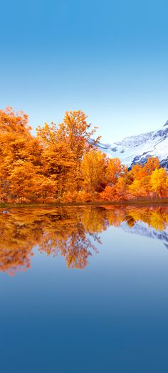 an autumn scene with snow capped mountains in the background and trees reflecting in the water