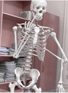 a skeleton standing in front of a bookshelf