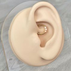 a close up of a fake ear with a ring in it's middle on a clear base