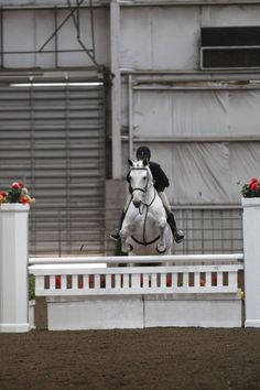 a person on a horse jumping over an obstacle in the middle of a competition course