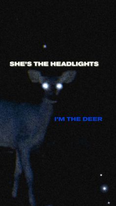 a deer with glowing eyes standing in the dark