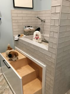 two dogs are sitting in the bathroom sink