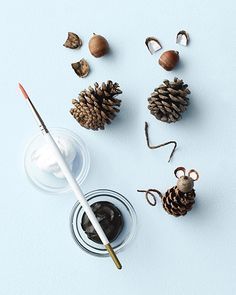 pine cones, acorns and paint sitting on a table