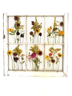 an old window decorated with wild flowers and chicken wire is displayed on a white wall