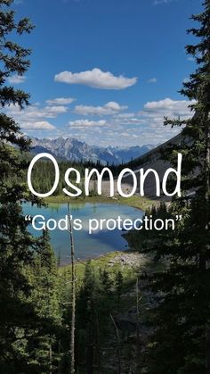 an image of the words o's protection in front of some trees and mountains