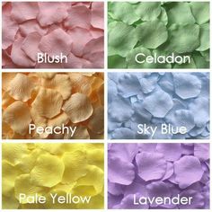 four different colors of flower petals with the names in each color and their name on them