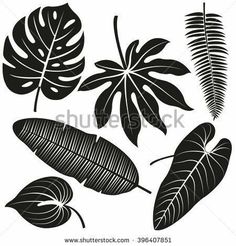 black and white tropical leaves on a white background - clipartall com png