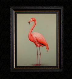 a pink flamingo standing in front of a black frame