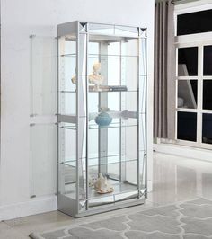 a glass display case with seashells and shells in it's bottom shelf