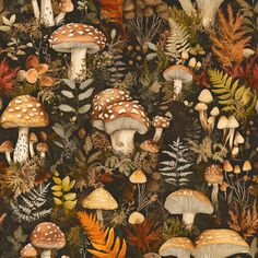 a painting of mushrooms, ferns and other plants on a black background with white dots