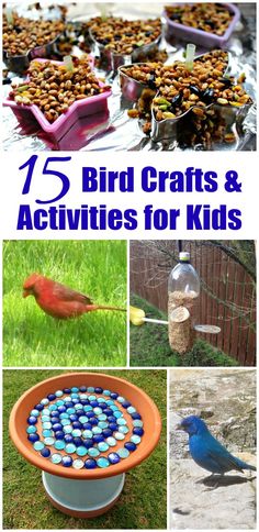 birds and other activities for kids to do in the yard with their own bird feeders