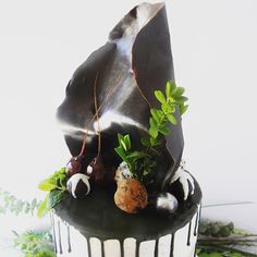 a cake with chocolate icing and green leaves on the top is decorated with fruit