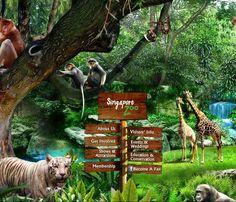 an image of animals in the jungle