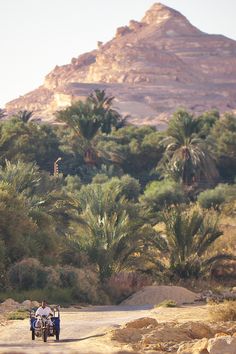 two people riding on the back of a motorcycle down a dirt road in front of palm trees