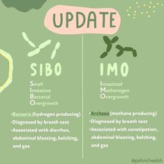 Small Intestine Bacterial Overgrowth: Overview and Updates Levator Ani, Pelvic Floor Therapy, Low Stomach Acid, Small Intestine Bacterial Overgrowth, Pelvic Organ Prolapse, Small Intestine, Pelvic Floor Dysfunction, Gi Tract, Pelvic Floor Muscles