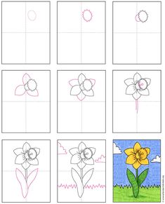 how to draw daffodil flowers step by step for kids and beginners