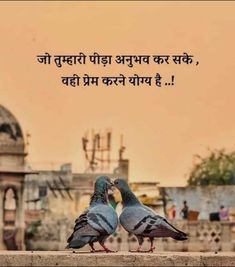 two pigeons standing next to each other on top of a wall with an old building in the background