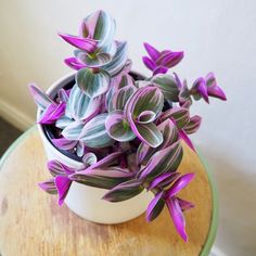 a white vase filled with purple flowers on top of a wooden table