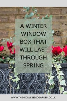 a window box that will last through spring with red flowers in it and the words, a winter window box that will last through spring