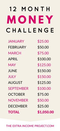 the 12 month money challenge is shown in pink and white, with words below it