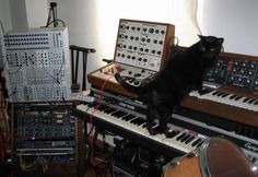 a black cat sitting on top of a keyboard in front of many other musical instruments