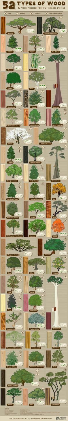 the different types of trees and their names