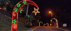 an arch decorated with christmas lights on the side of a road