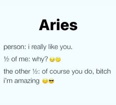 the text reads aries person i really like you