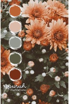 an image of some flowers with different colors on the bottom and bottom half of them