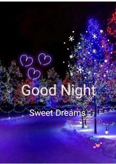 the words good night sweet dreams are lit up