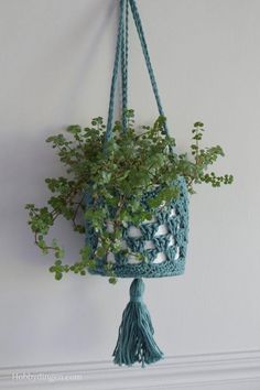 a crocheted hanging planter with green plants in it and a tassel