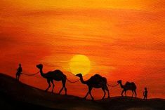 three camels are walking in the desert at sunset with people on top of them