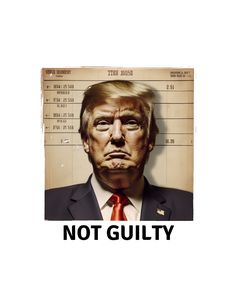 MAGA 2024 Not Guilty, Retro Style, Retro Fashion, Digital Art, United States, Digital Prints, Ships, Art