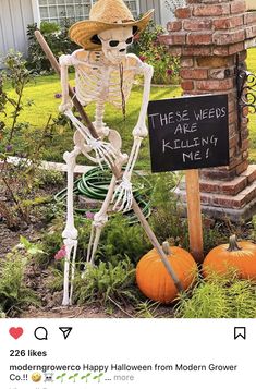 a skeleton with a straw hat sitting in front of a sign that says, these weeds are killing me