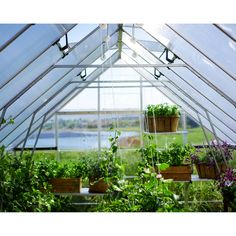 several potted plants are hanging in a greenhouse