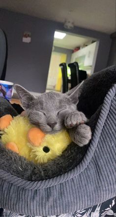 a cat sleeping in a hammock with its head on a stuffed animal toy